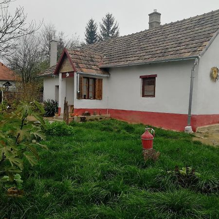 Traditionelles Bauernhaus Flieder Zalaszentgrót Buitenkant foto