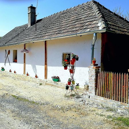 Traditionelles Bauernhaus Flieder Zalaszentgrót Buitenkant foto