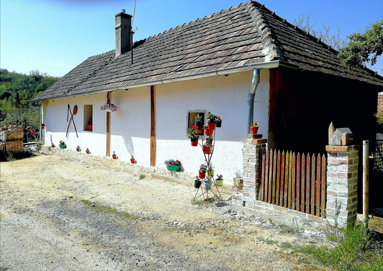 Traditionelles Bauernhaus Flieder Zalaszentgrót Buitenkant foto